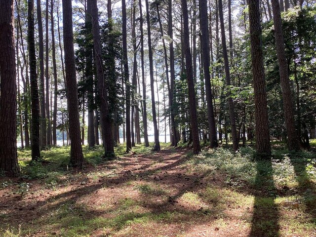 A6B White Tail Ln Unit A6B, Machipongo, VA 23405 - photo 10