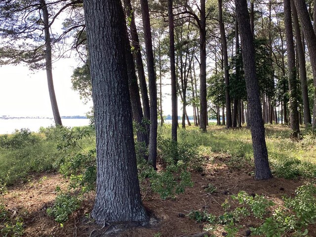 A6B White Tail Ln Unit A6B, Machipongo, VA 23405 - photo 39