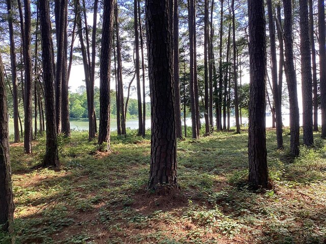 A6B White Tail Ln Unit A6B, Machipongo, VA 23405 - photo 50