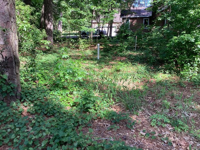 A6B White Tail Ln Unit A6B, Machipongo, VA 23405 - photo 6