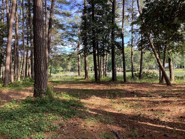A6B White Tail Ln Unit A6B, Machipongo, VA 23405 - photo 17