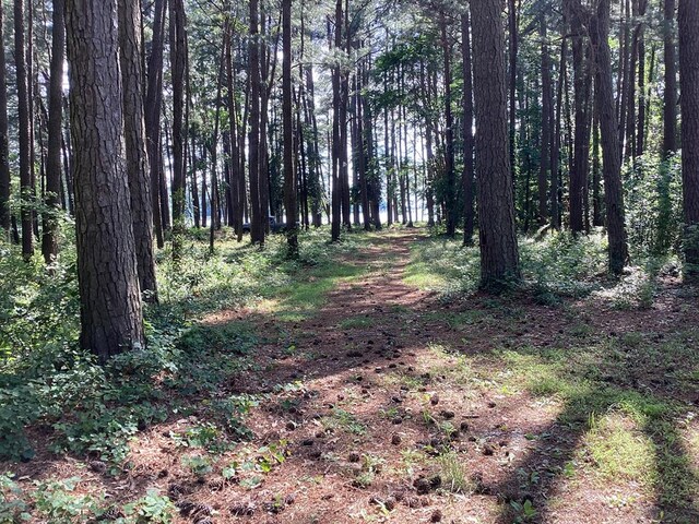 A6B White Tail Ln Unit A6B, Machipongo, VA 23405 - photo 5