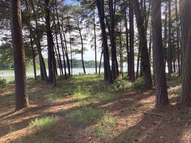 A6B White Tail Ln Unit A6B, Machipongo, VA 23405 - photo 43