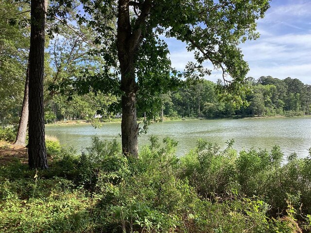 A6B White Tail Ln Unit A6B, Machipongo, VA 23405 - photo 24