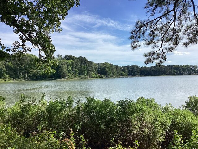 A6B White Tail Ln Unit A6B, Machipongo, VA 23405 - photo 22