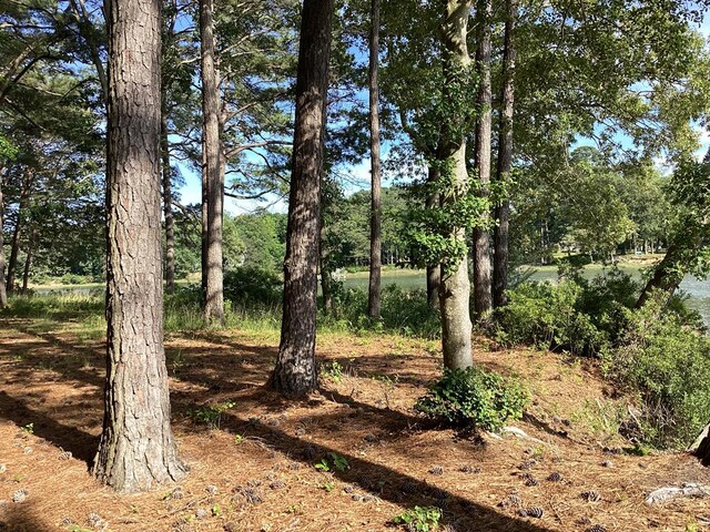 A6B White Tail Ln Unit A6B, Machipongo, VA 23405 - photo 29