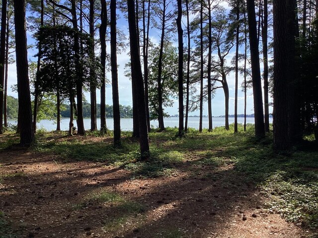 A6B White Tail Ln Unit A6B, Machipongo, VA 23405 - photo 15