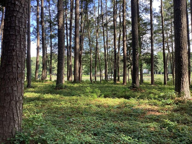 A6B White Tail Ln Unit A6B, Machipongo, VA 23405 - photo 14
