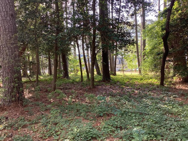 A6B White Tail Ln Unit A6B, Machipongo, VA 23405 - photo 13