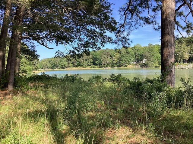 A6B White Tail Ln Unit A6B, Machipongo, VA 23405 - photo 33