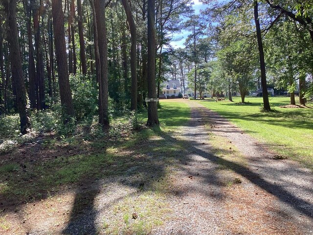 A6B White Tail Ln Unit A6B, Machipongo, VA 23405 - photo 4