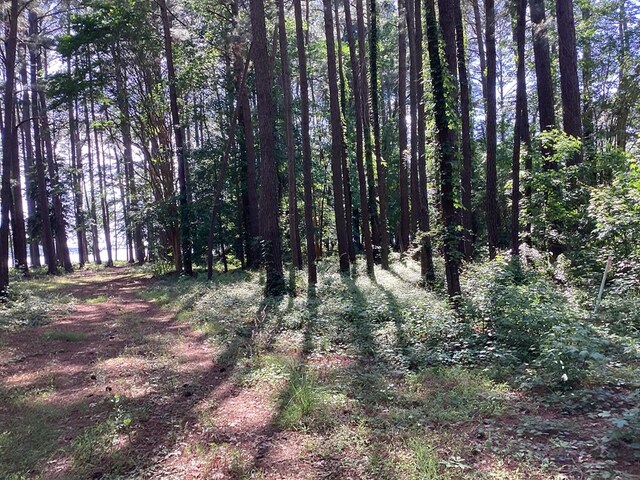 A6B White Tail Ln Unit A6B, Machipongo, VA 23405 - photo 7
