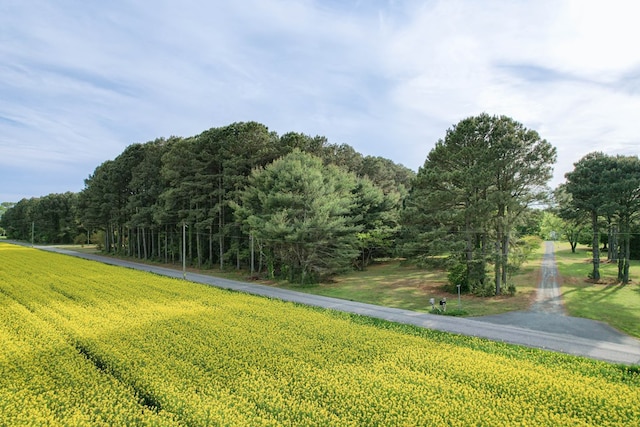 LotE Sparrow Point Road E, Machipongo, VA 23405 - photo 8