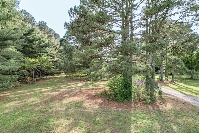 LotE Sparrow Point Road E, Machipongo, VA 23405 - photo 4