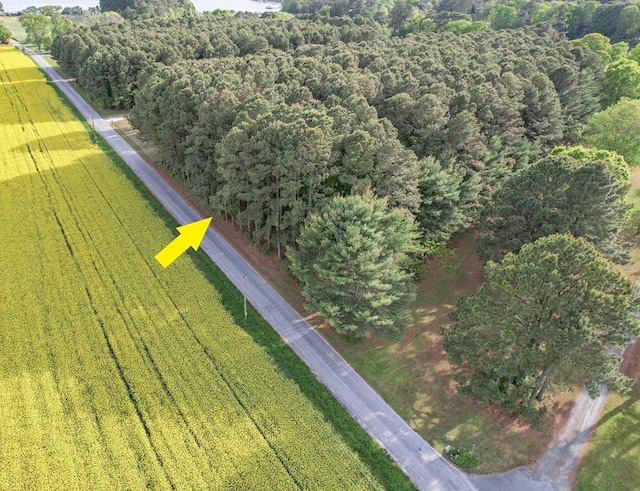 LotE Sparrow Point Road E, Machipongo, VA 23405 - photo 1