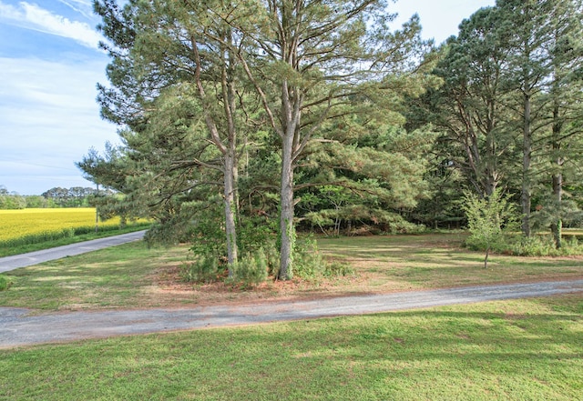 LotE Sparrow Point Road E, Machipongo, VA 23405 - photo 2