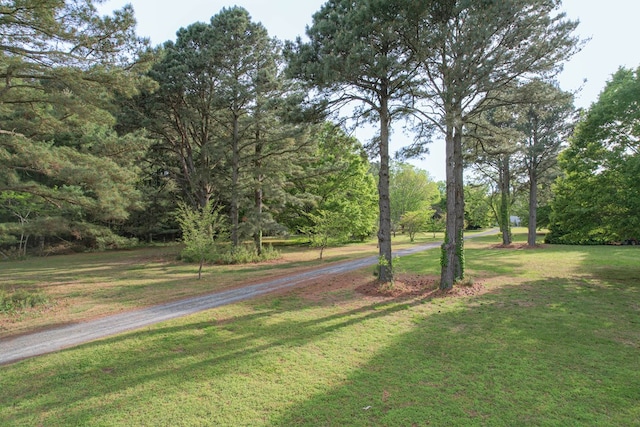 LotE Sparrow Point Road E, Machipongo, VA 23405 - photo 3