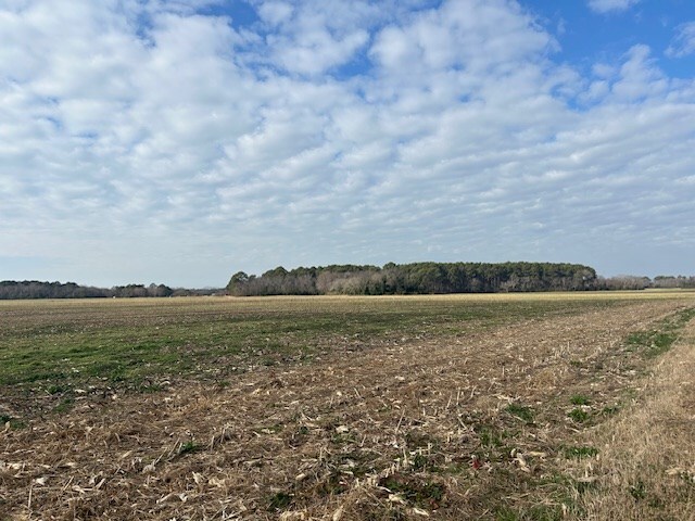 LotD Lankford Hwy 43D, Cape Charles, VA 23310 - photo 9