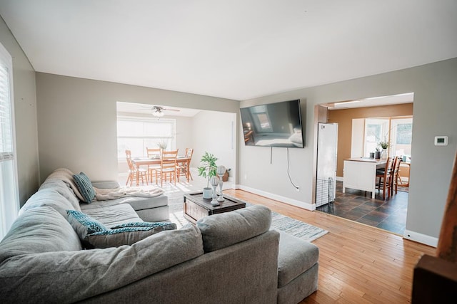 living room featuring dark hardwood / wood-style floors