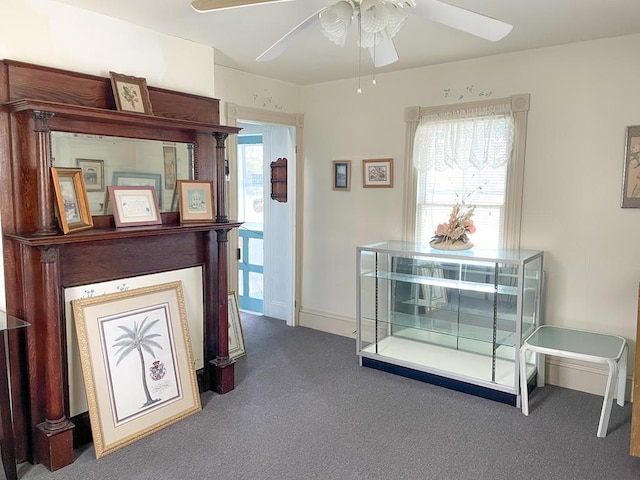 hallway featuring carpet floors