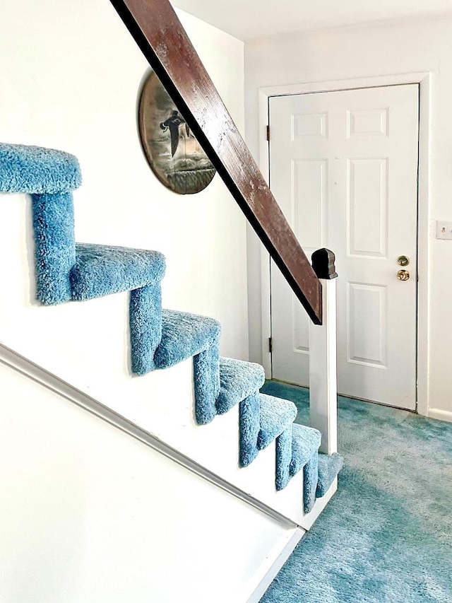 stairway with carpet floors