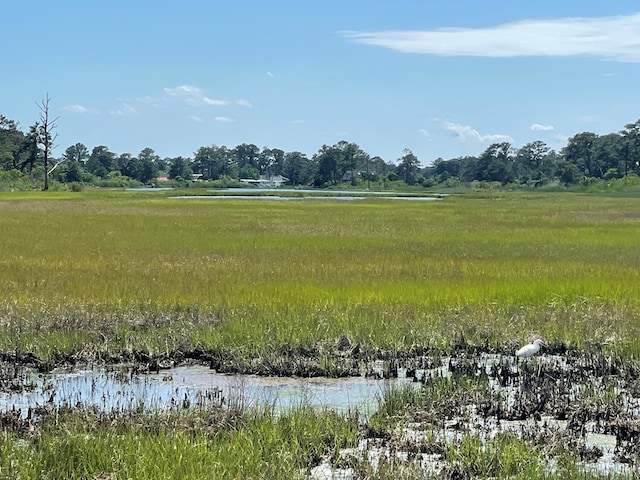 view of local wilderness featuring a water view