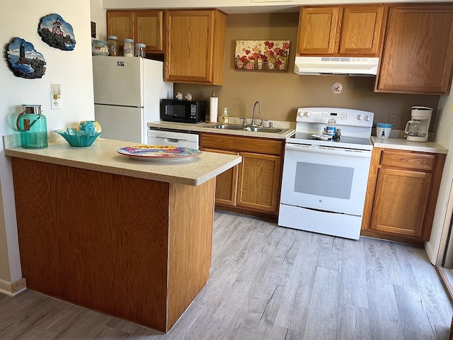 kitchen with sink, white appliances, and light hardwood / wood-style flooring