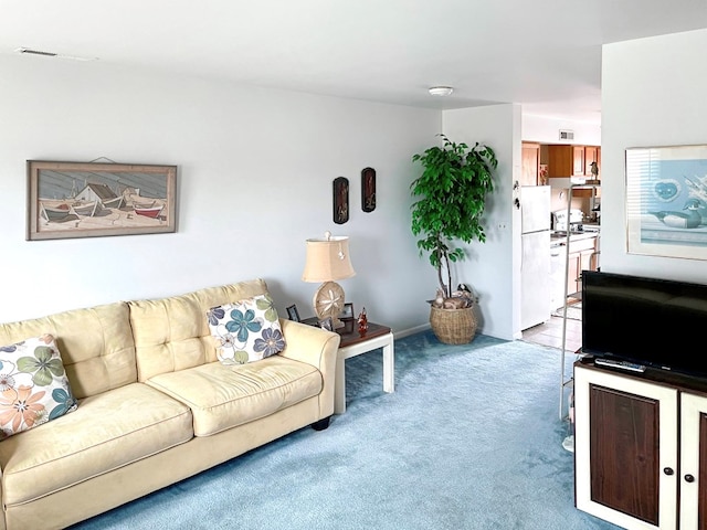 7181 Bunting Rd, Chincoteague, VA 23336 - photo 21