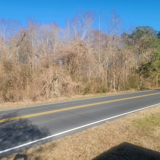 LOTS Chincoteague Road 0, New Church, VA 23415 - photo 3