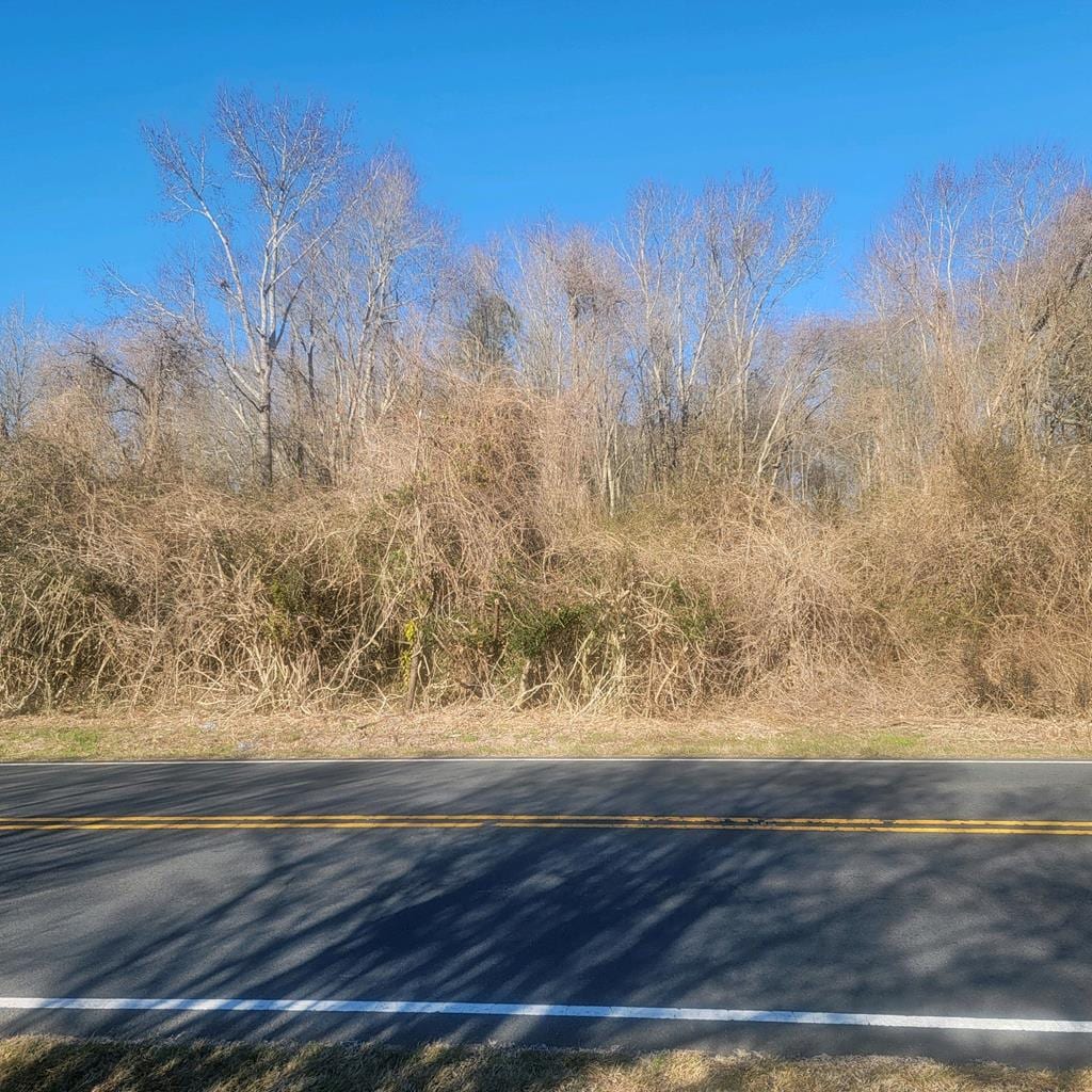 LOTS Chincoteague Road 0, New Church, VA 23415 - photo 1