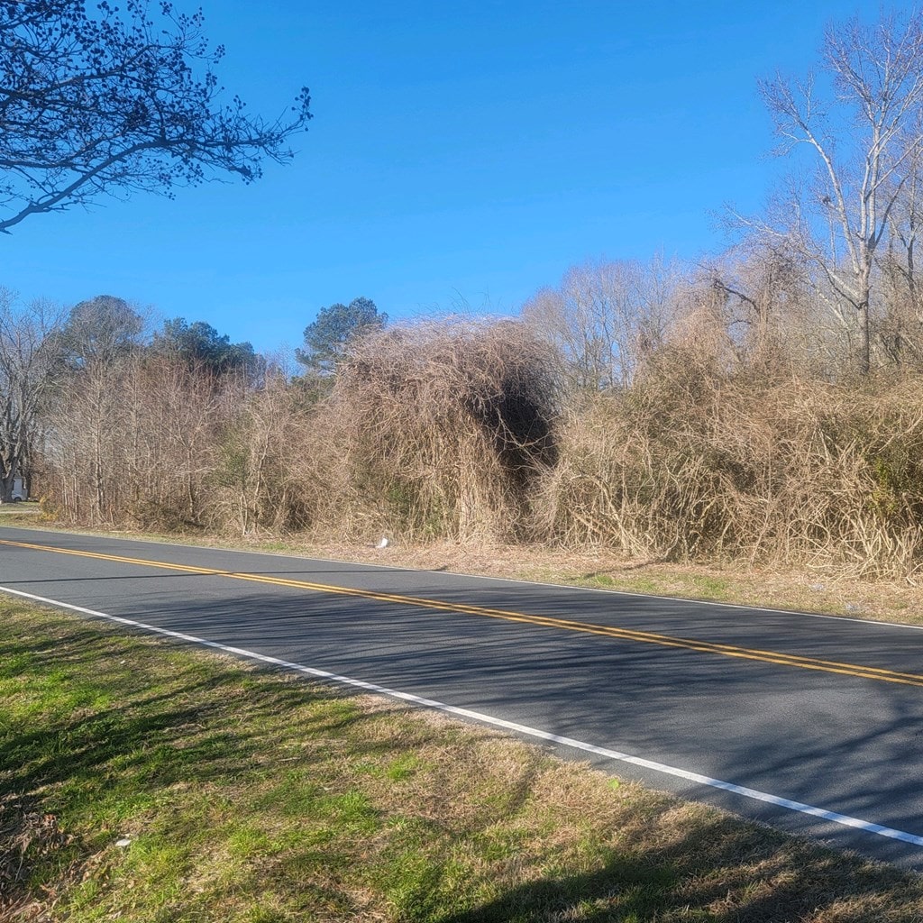 LOTS Chincoteague Road 0, New Church, VA 23415 - photo 2