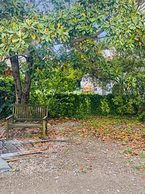 4169 Main St, Chincoteague, VA 23336 - view of yard