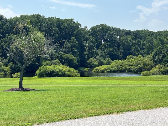LOT14 Corbin Hall Ln Unit 14, Horntown, VA 23395 - photo 22