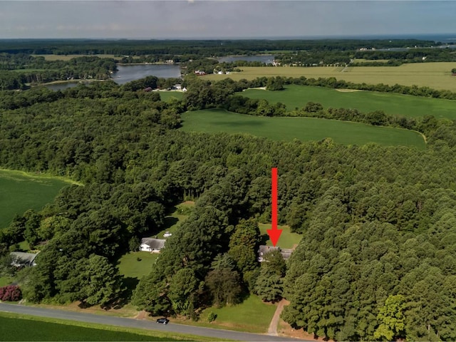 18543 Hermitage Rd, Onancock, VA 23417 - photo 33