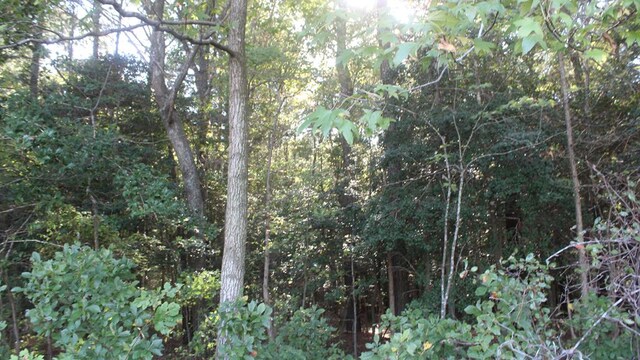 LOT130 Matthews Rd Unit 130, Parksley, VA 23421