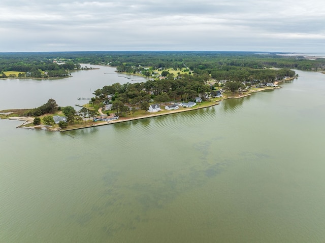 15259 Russell Dr, Onancock, VA 23417 - aerial view of a large body of water and a heavily wooded area