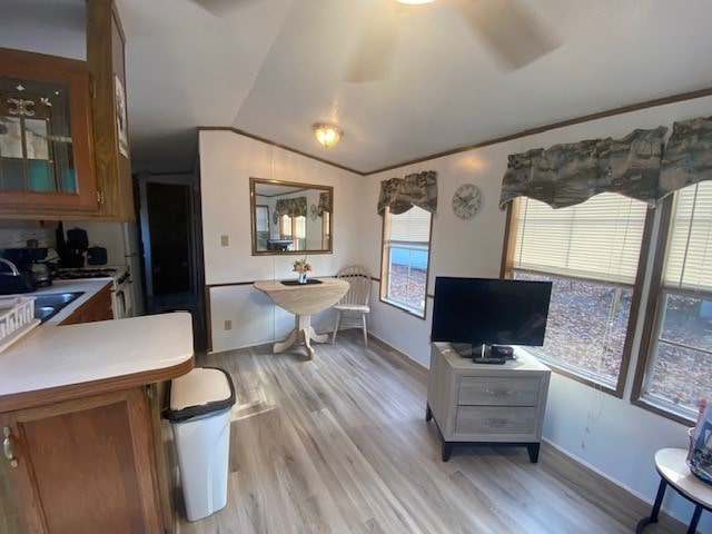 interior space with vaulted ceiling, ornamental molding, sink, and light hardwood / wood-style flooring