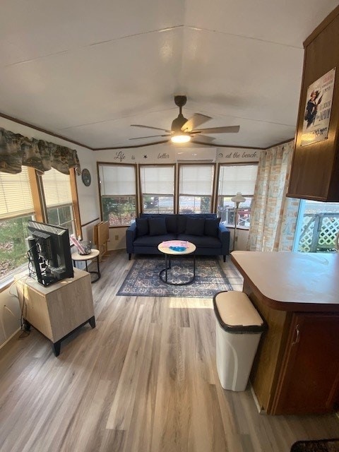 living room with ceiling fan and light hardwood / wood-style flooring