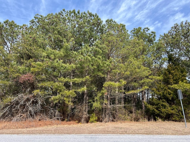 Listing photo 3 for LotX Butler'S Bluff Drive Lot X, Cape Charles VA 23310