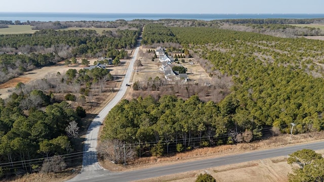 Listing photo 3 for LotX Butler'S Bluff Drive Lot X, Cape Charles VA 23310