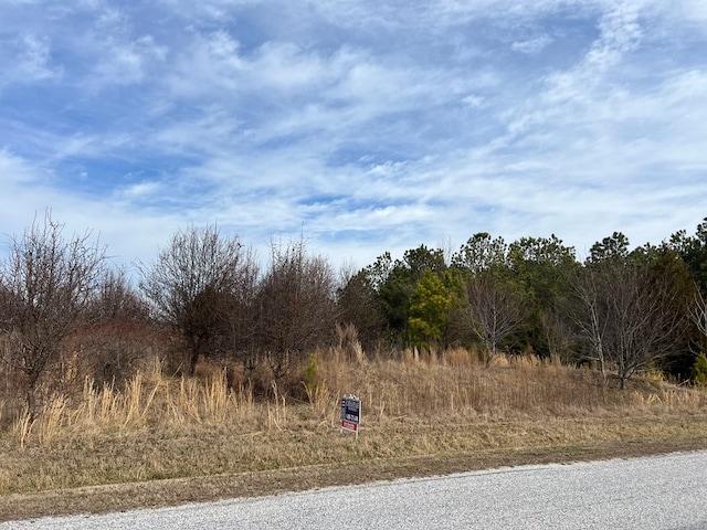 Listing photo 2 for LotX Butler'S Bluff Drive Lot X, Cape Charles VA 23310