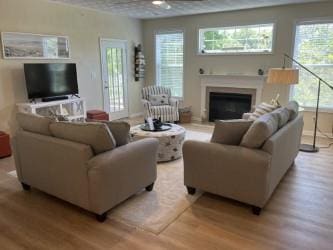 living room with light hardwood / wood-style floors