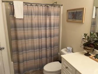 bathroom featuring curtained shower, vanity, and toilet