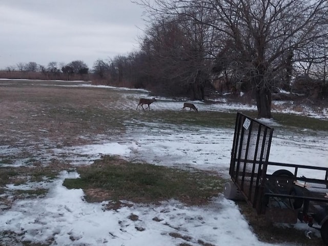 view of yard covered in snow