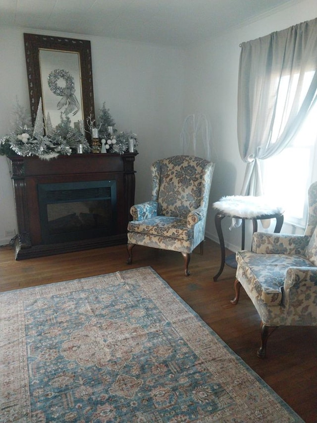 sitting room with wood-type flooring