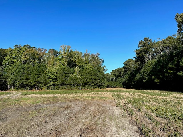 LOTB1 Clam Ct Unit B1, Belle Haven, VA 23306 - photo 3