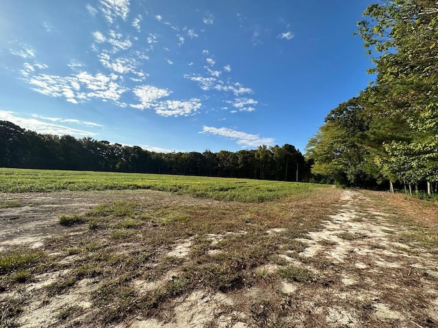 LOTB1 Clam Ct Unit B1, Belle Haven, VA 23306 - photo 7