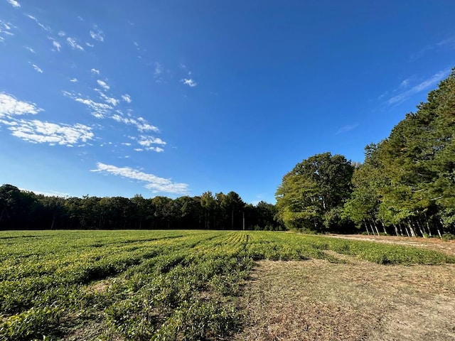 LOTB1 Clam Ct Unit B1, Belle Haven, VA 23306 - photo 6