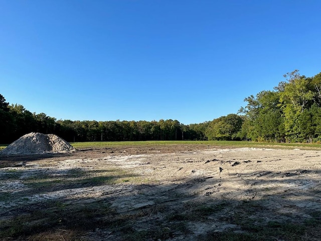 LOTB1 Clam Ct Unit B1, Belle Haven, VA 23306 - photo 2
