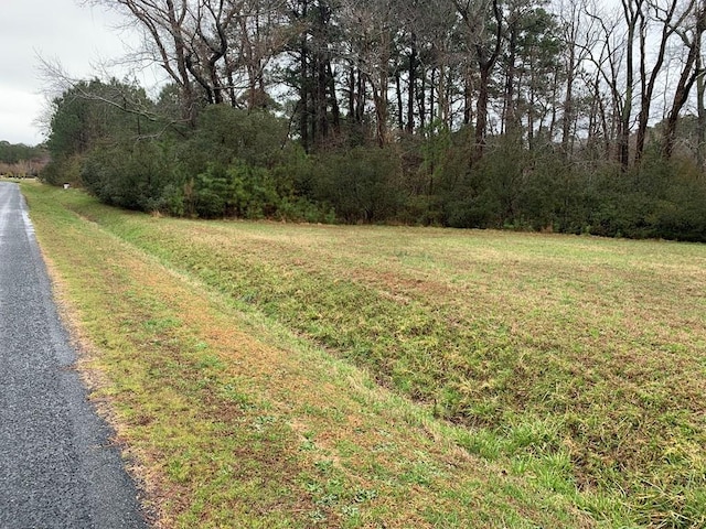 LOT8 Peaceful Lakes Dr Unit 8, Exmore, VA 23350